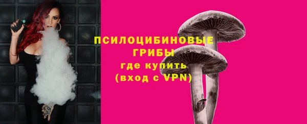 прущие грибы Богданович