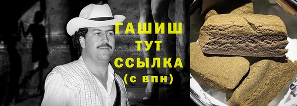 прущие грибы Богданович