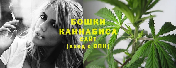 прущие грибы Богданович